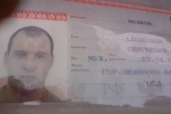 Кракен зеркало орион