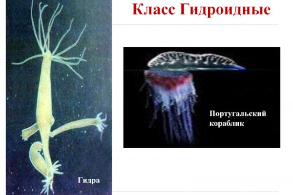 Kra40at