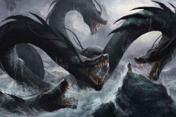 Kraken online