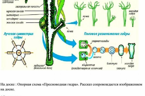 Кракен ссылка 2025