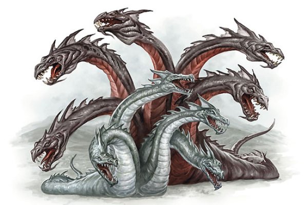 Kraken forum