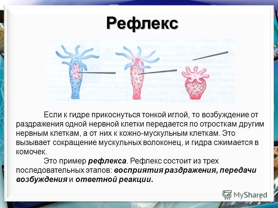 Кракен черный сайт