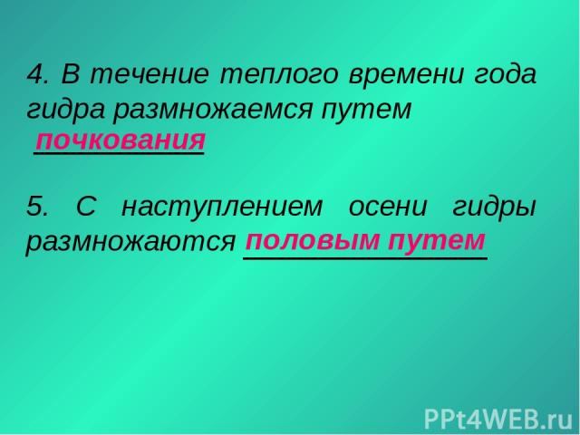 Скачать кракен тор